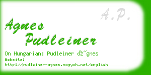 agnes pudleiner business card